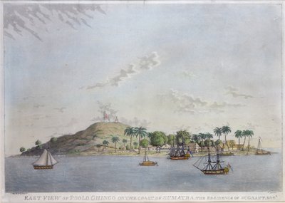 East View of Poolo Chinco on the Coast of Sumatra, the Residence of W. Grant Esq., engraved by James Moffat by William James Grant